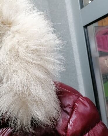 svilene ešarpe beograd: Moncler, S (EU 36) — 3