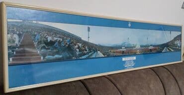 Houseplants: Print, 34 x 140 cm, Used — 3