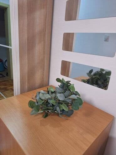 garsonjere beograd izdavanje: 2 sobe — 10