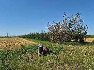 placevi na prodaju prokuplje: Na prodaju salaš – Rumski drum 69a, Sremska Mitrovica Na prodaju — 6
