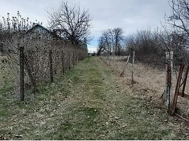 kuce na prodaju kovilj: Vikendica U Vincima sa velikim placem i uređenim dvorištem. - — 7