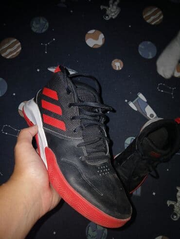 adidas beograd: Patike, Adidas, veličina - 38.5 — 7