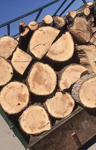 Ostali proizvodi za kuću: Ogrevno drvo – tvrda listopadna stabla u oblovini i krupno cepanim — 3