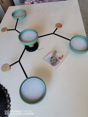 Sobne biljke: Luster, Upotrebljenо — 2