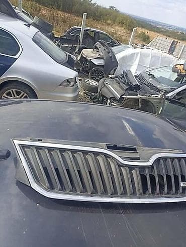 Car Parts: MASKA ZA ŠKODA RAPID OD 2013. DO 2019. GOD. | SKODA RAPID 9.GOD — 3