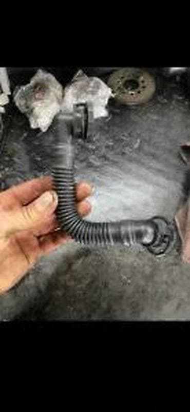 rosule ili rolsue: AUDI Q7 4M DELOVI CREVO IBERLAUFA BG | Audi q7 q5 q3 q2 A1 A3 A4 A5 — 1