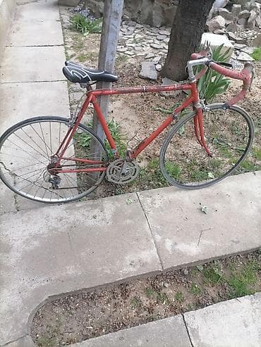 Trkački bicikl – klasični drumski model - Čelični ram sa tankim