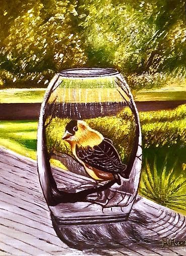 idea jelke cena: Slika, 50 x 60 cm, Novo — 3