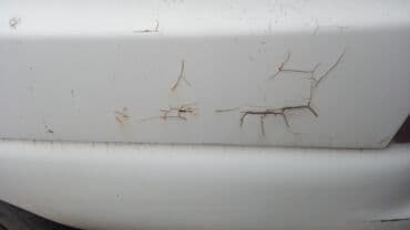 Auto delovi: Ford Escort karavan – bele boje - Karoserija: karavan, 5 vrata - — 10