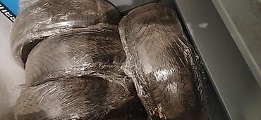 tip top auto delovi: Prodajem zimske gume Nexen Winguard Snow 205/60 R 16 (4 komada) — 4