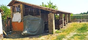 jeftine kuće kosmaj vikendice 6000e: Kuća, Majdan (Novi Kneževac), 110 m2 Kuća u Majdanu, severnobanatski — 7