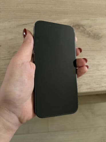 mini max telefon: Apple iPhone iPhone 13 Pro, Graphite, Face ID — 8