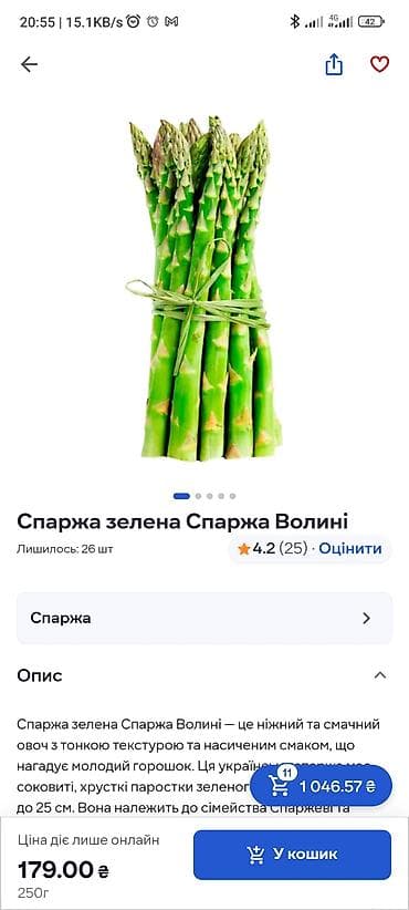 Zelena špargla “Šparža Volini” - Vrsta: zelena špargla (Asparagus na lalafo.rs Zelena špargla “Šparža Volini” - Vrsta: zelena špargla (Asparagus