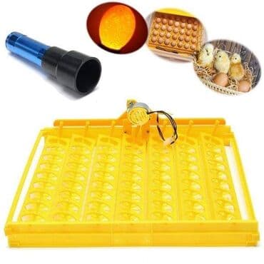 cetka za pranje tepiha za trimer: Lampa za lampiranje jaja Cena:1000din Specijalna lampa za lampiranje — 3
