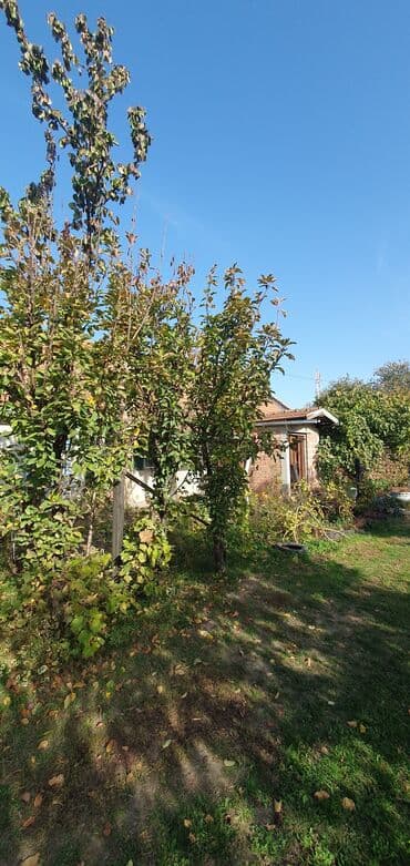 kuca arandjelovac: 180 kv. m, 5 soba — 4