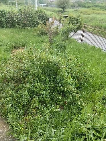 kuce na prodaju u srbiji: Kuća u Vrčinu – povoljno, idealna za korisnike “Vučićevog” kredita za — 5