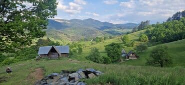 crvenka prodaja kuca: 40 ares, Vlasnik — 5