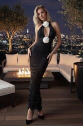 zebra haljine: 2700
Si — 2