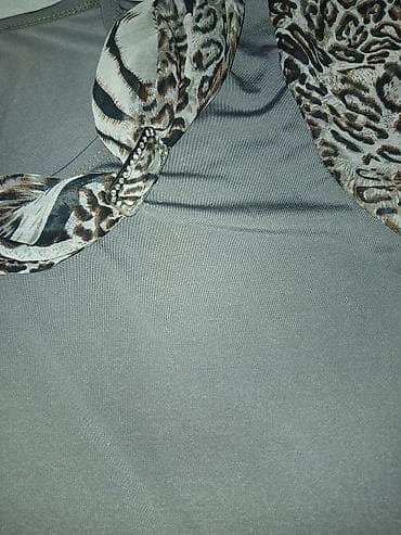 leopard bade mantil muski: Ženska majica/bluza sa kratkim rukavima. - Boja: siva osnova - — 2