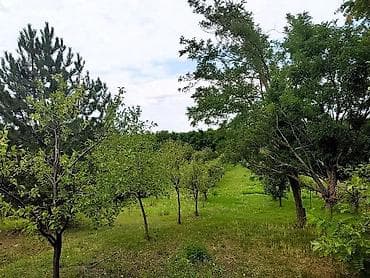 hitna prodaja kuca kraljevo: Prodajem salaš sa velikim voćnjakom u Novom Kneževcu, blizu Mađarske — 8