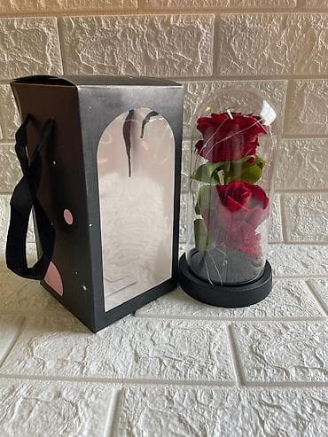 patike za tenis: Večna ruža u staklenom zvonu sa led lampicom Cena:1800din 🌹✨ ČAROBNA — 8