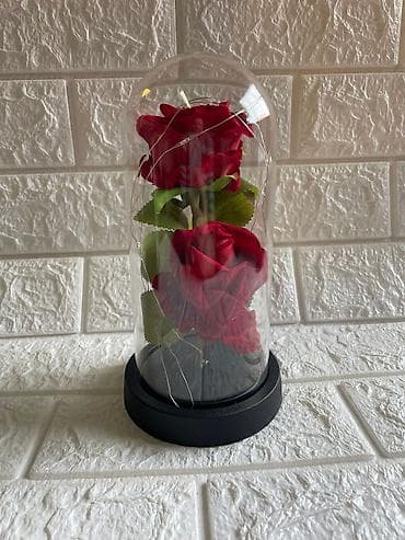 patike za tenis: Večna ruža u staklenom zvonu sa led lampicom Cena:1800din 🌹✨ ČAROBNA — 6