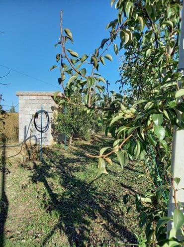 Placevi: Poljoprivredno zemljište — 18