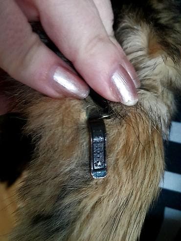 Other: Ženska bunda od krzna, klasičnog kroja do kukova. Bogata, prirodna — 3