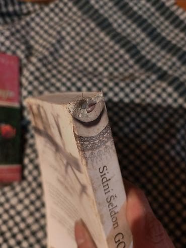 torbe b: Knjiga: Gospodar igre – Sidni Šeldon - Izdavač: Alnari - Jezik — 3