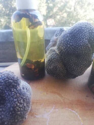 Divlji crni tartuf (Tuber Aestivum), sa listicima tartufa u ulju — 2