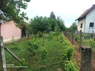 dobos kuce golubinci: 18 sq. m, 2 bedroom — 12