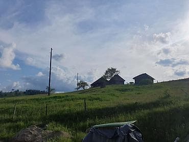 kovin prodaja kuca: Na prodaju 12 km od centra Zlatibora plac površine 40 ari sa drvenom — 10