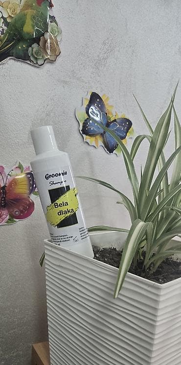 kavezi za papagaje: Pet shop Maza & Nera – sve za pse i mačke na jednom mestu - Širok — 10