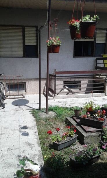 Kuće za izdavanje: 42 kv. m, 2 sobe — 13