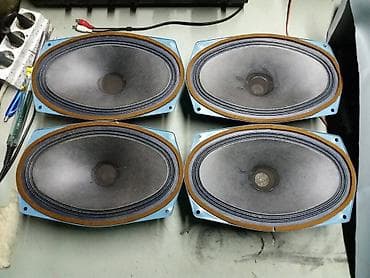 Speakers & Sound Systems: Tesla elipse 5w; 8 oma; 26x16cm -ispravni. cena fixna 25e za 1 — 3