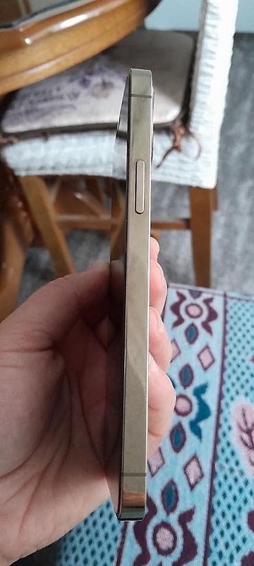 torba za dokumente: Apple iPhone (serija Pro) – zlatna/šampanj boja - Kućište sa ravnim — 3