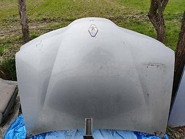 korsetii b dva za: HAUBE LAGUNA 2 ZA RENAULT LAGUNA — 4