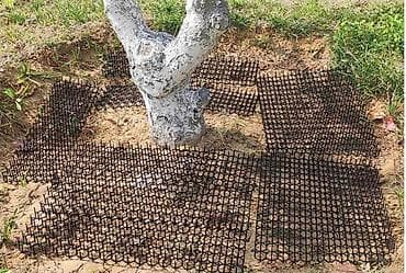 grinch jelka: Plastične zaštitne mreže sa šiljcima – protiv mačaka, pasa, ptica i — 2