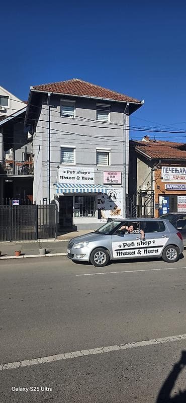 ptice na poklon: Pet shop “Maza & Nera” – sve za ljubimce na jednom mestu Pored — 1