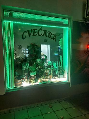 Auto services: Entertainment — 2