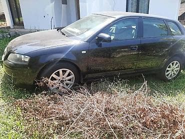 auto prikolice polovne: KOMPLETAN AUTO U DELOVIMA ZA AUDI A3 | Kompletan auto u delovima — 2