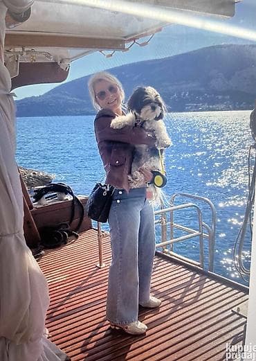 Building, Home & Removals: Briga i nega manjih kuca u kućnim uslovima bez kaveza i ogradica — 7