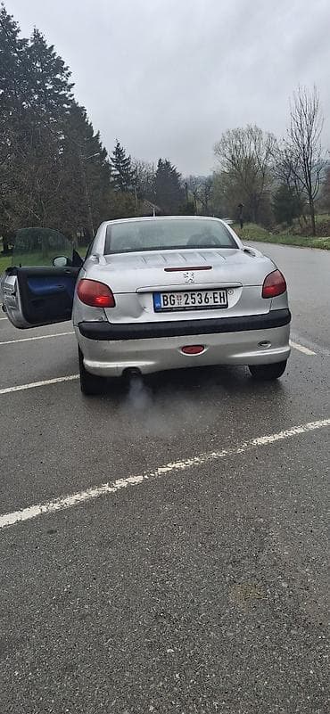 konjska kola: Peugeot 206 CC kabriolet, srebrna boja, kupe-kabrio sa tvrdim — 3