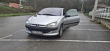 konjska kola: Peugeot 206 CC kabriolet, srebrna boja, kupe-kabrio sa tvrdim — 5