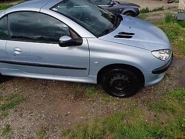 seranovi 109: VRATA ZA PEUGEOT 206 | Vrata za peugeot 206 u vise boja.Imam svee — 6