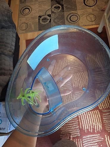 patofne za pse: Plastična posuda za kornjače – Nobleza “Turtle Case” malo korisceno - — 3