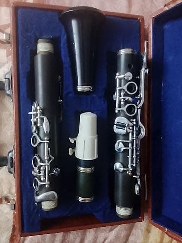 Klarinet u koferu – kompletan set za sviranje - Sistem: Böhmov