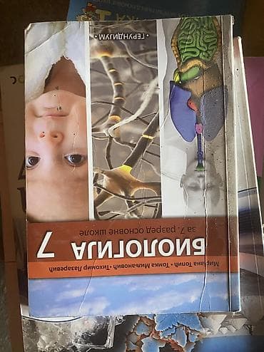 stitnici i kaciga za decu: Udžbenik: Srpski jezik za 8. razred – „Gramatika“ Izdavač: Завод за — 5
