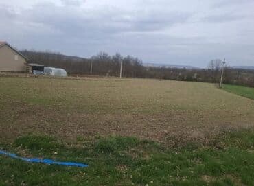 stanovi za izdavanje u nisu: 38 ares, Vlasnik — 3