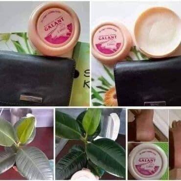 Sobne biljke: 🍀🍀🍀 GALANT KREMA 🍀🍀🍀 ➡️Zastitite svoju obucu od kise⬅️ 🍀 Bezbojna — 4